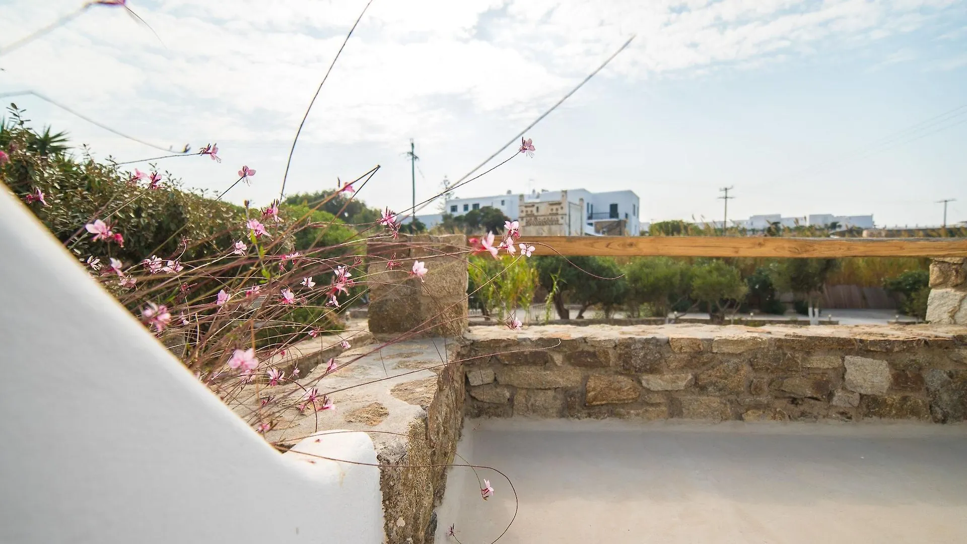 Vienoula'S Garden Hotel Mykonos Town Yunanistan