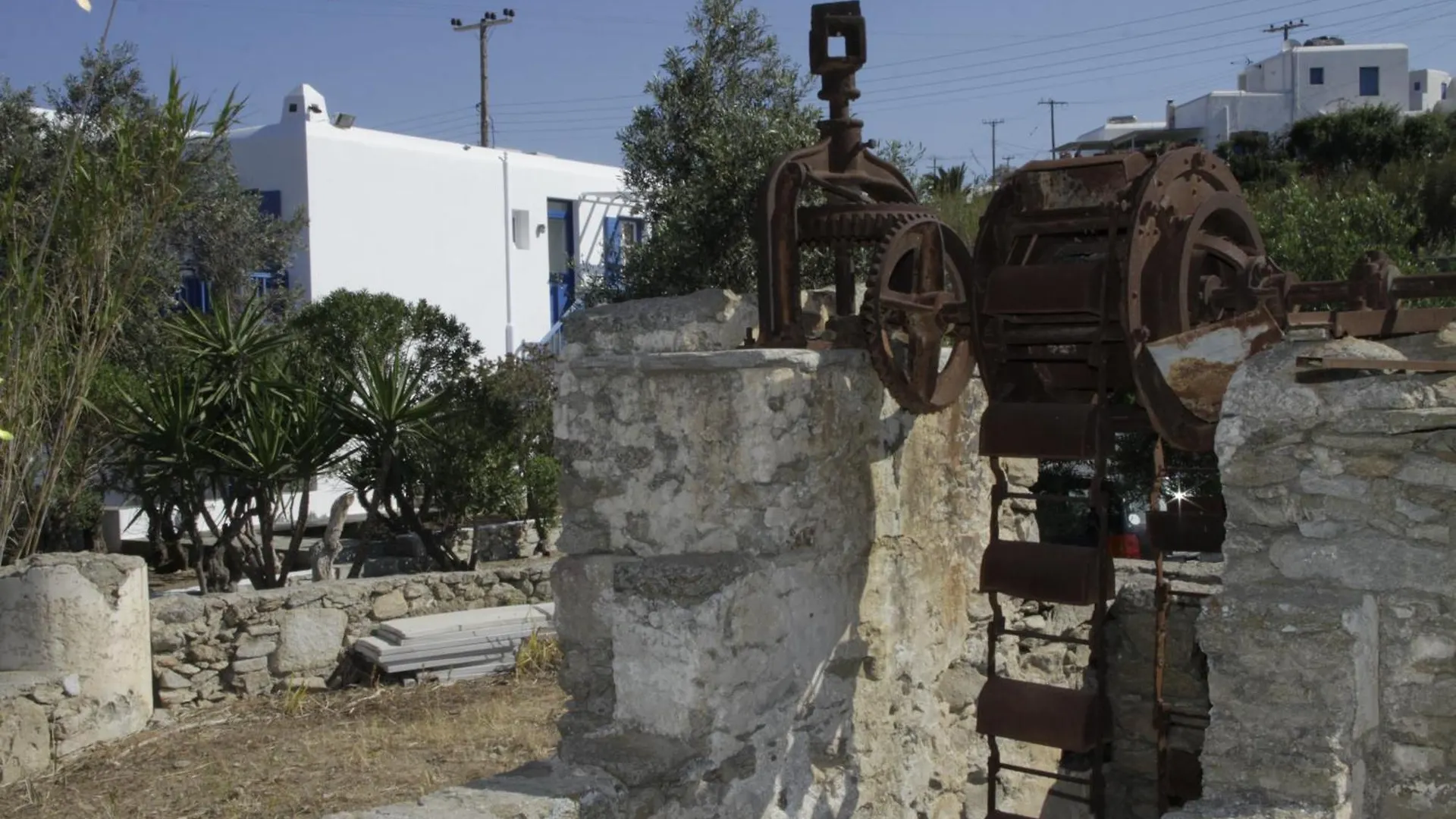 Vienoula'S Garden Hotel Mykonos Town