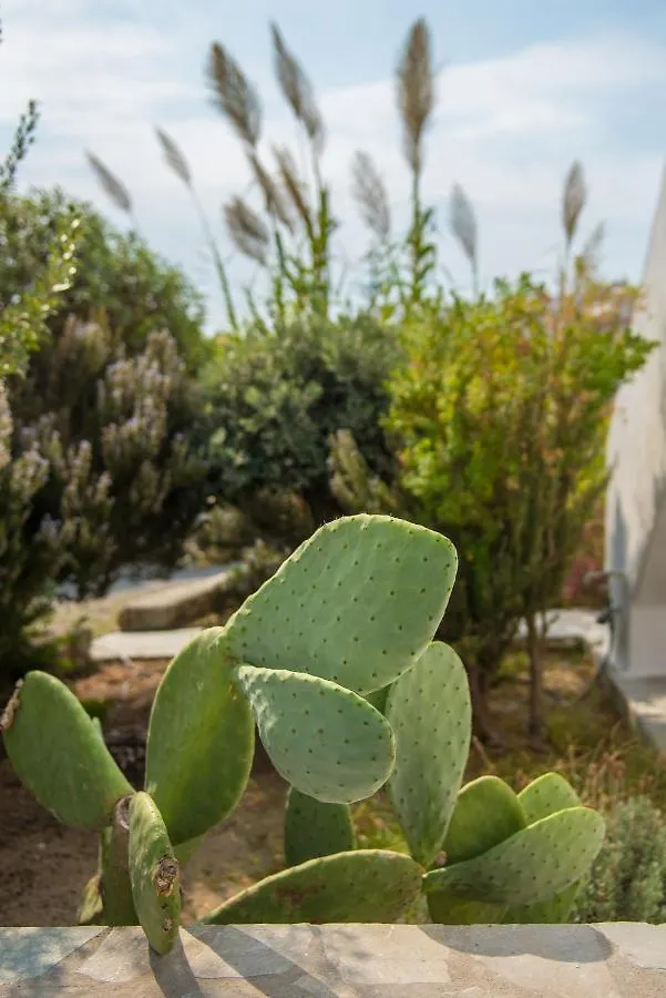 Vienoula'S Garden Hotel Mykonos Town